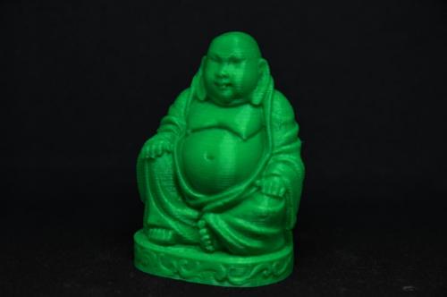 Budha popis
